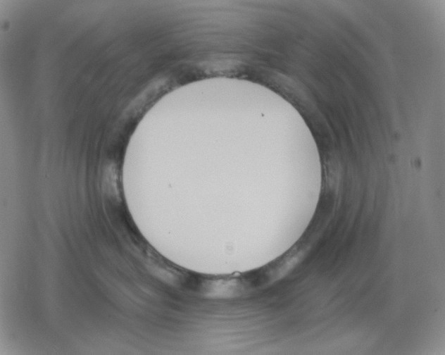 X0000079310575200612151755