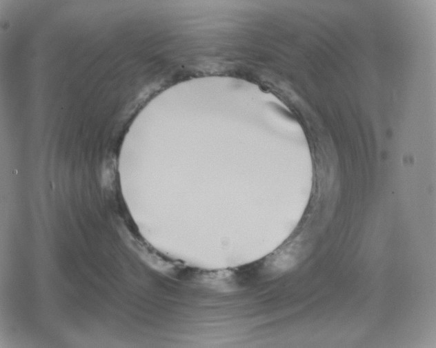 X0000079310576200612151755