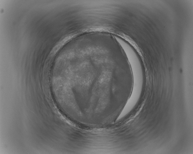 X0000079310577200612151754