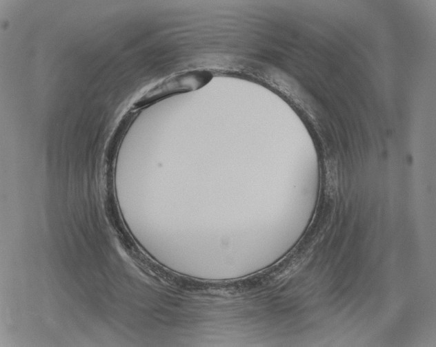 X0000079310580200612151754