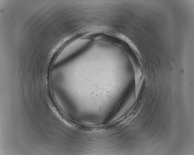 X0000079310581200612151754