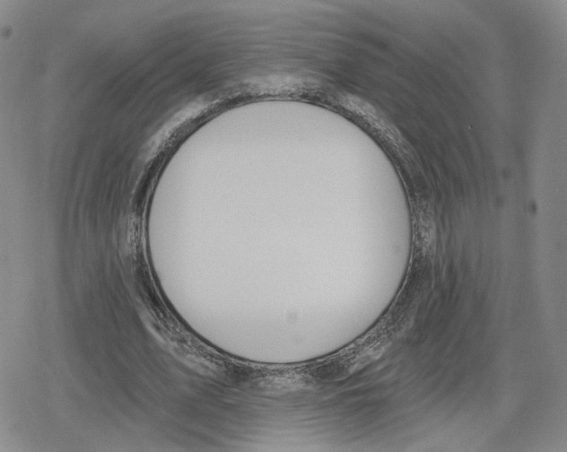 X0000079310583200612151754