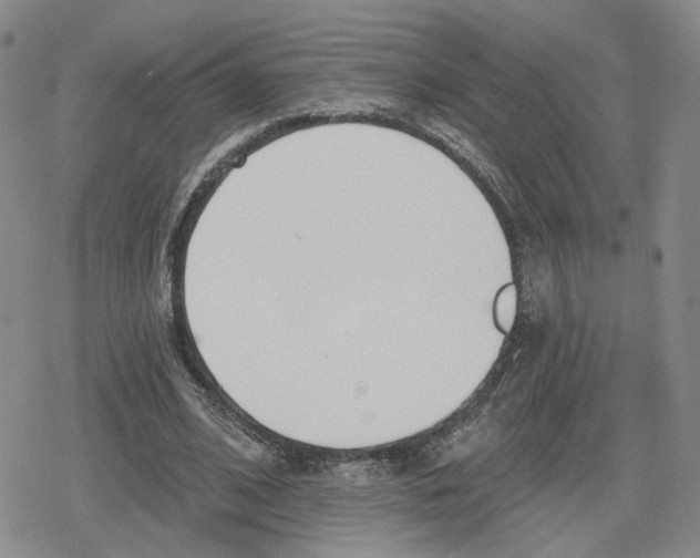 X0000079310584200612151754