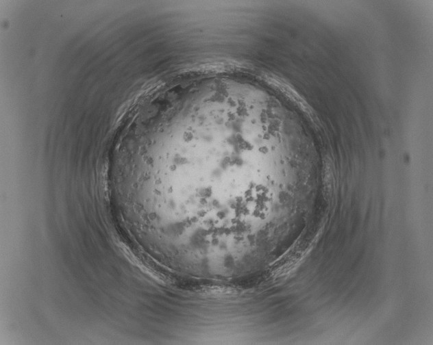 X0000079310585200612151754