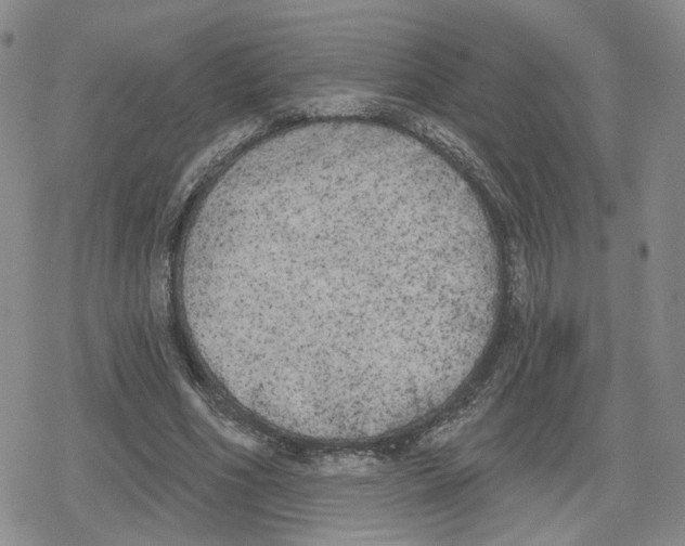 X0000079310586200612151754