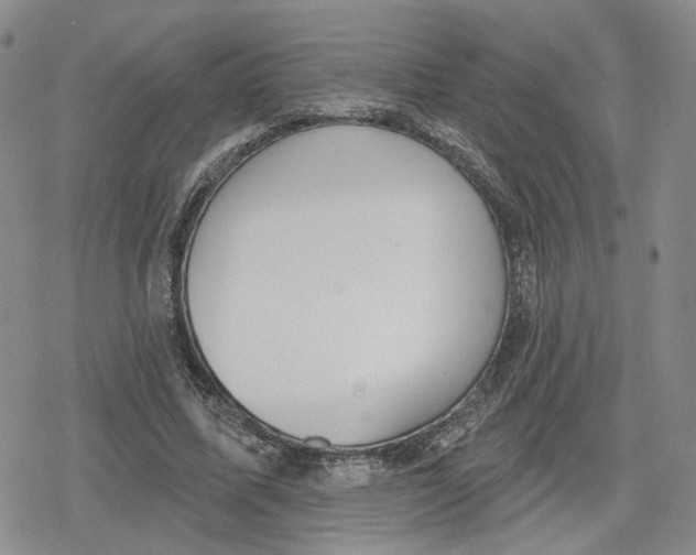 X0000079310587200612151754