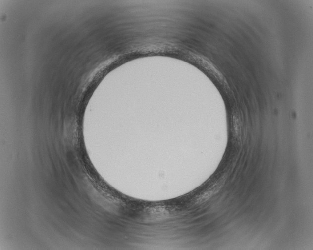 X0000079310588200612151754