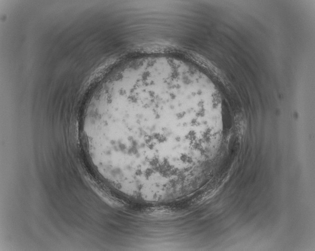 X0000079310589200612151754