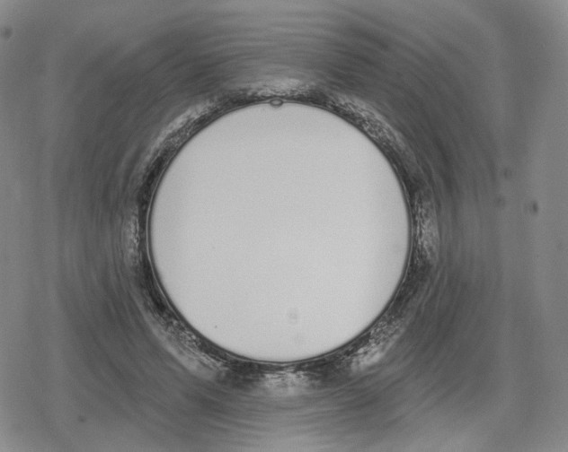 X0000079310591200612151754