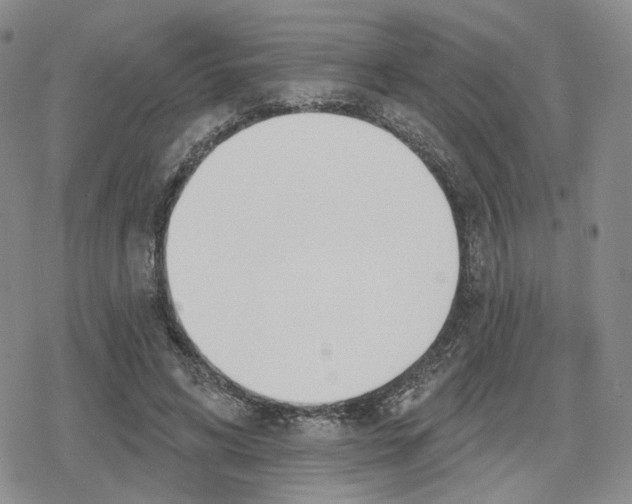 X0000079310592200612151754