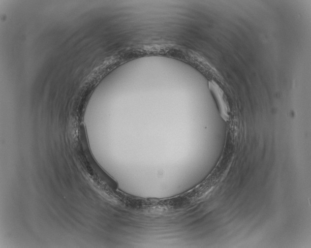 X0000079310593200612151754