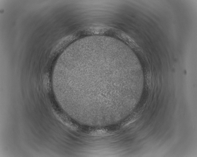 X0000079310594200612151754