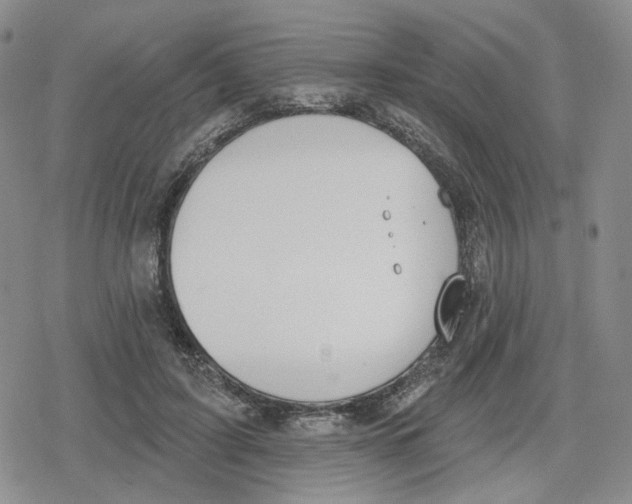 X0000079310595200612151754