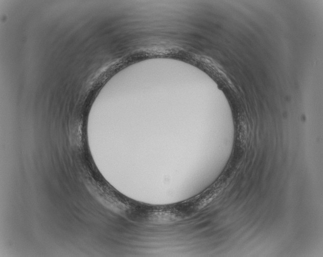 X0000079310596200612151754