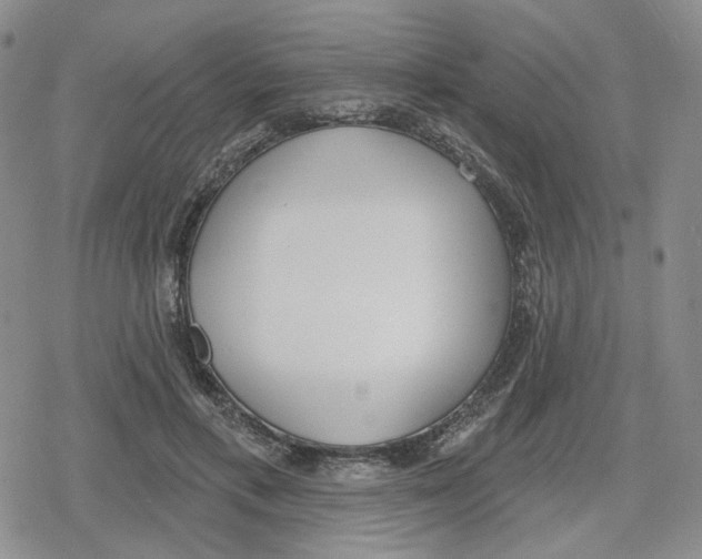 X0000079310597200612151754