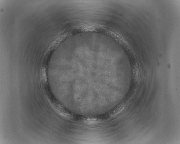 X0000079310598200612151754