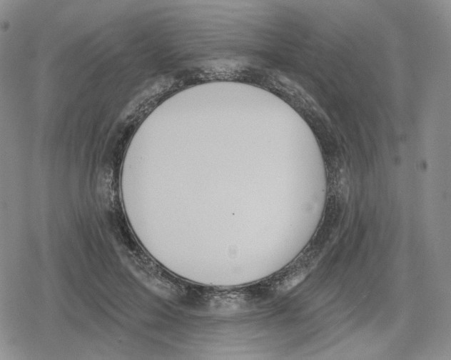 X0000079310599200612151754