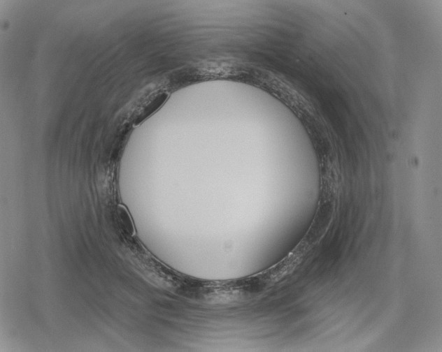 X0000079310601200612151754