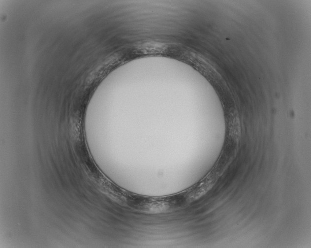 X0000079310604200612151754