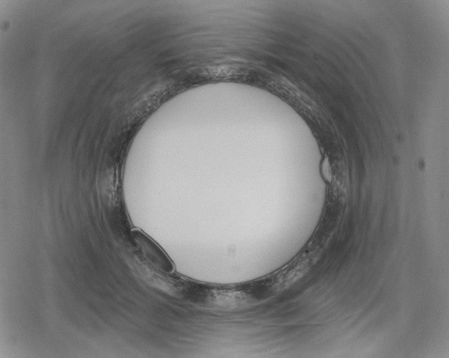 X0000079310605200612151754