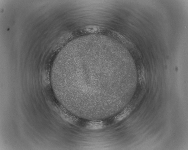 X0000079310606200612151754