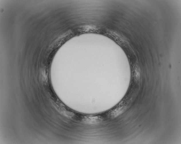 X0000079310607200612151754