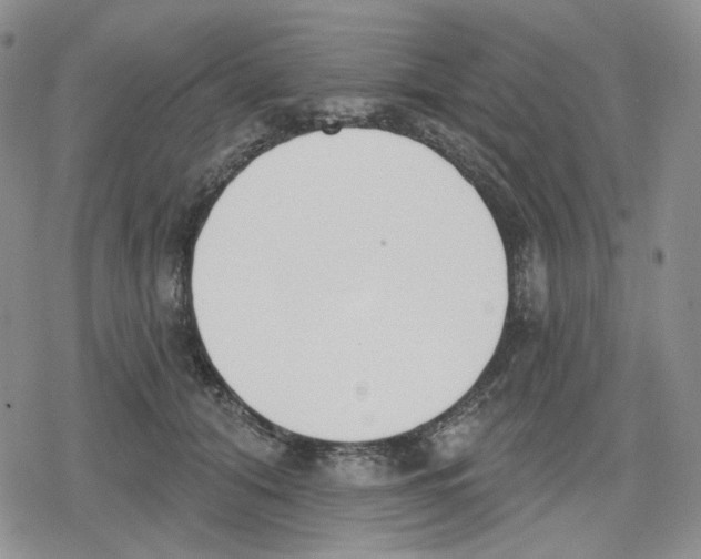 X0000079310608200612151754