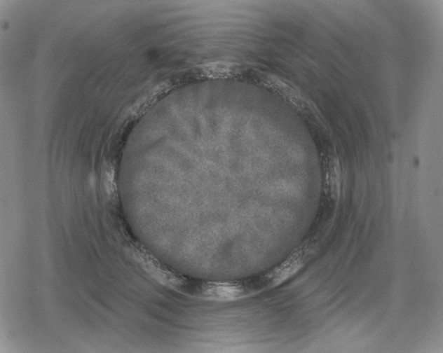 X0000079310610200612151754