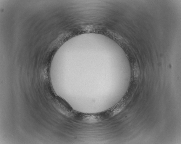 X0000079310611200612151754