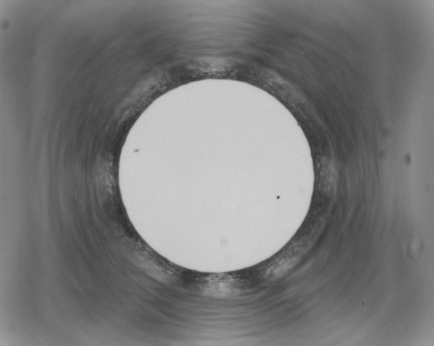 X0000079310612200612151754