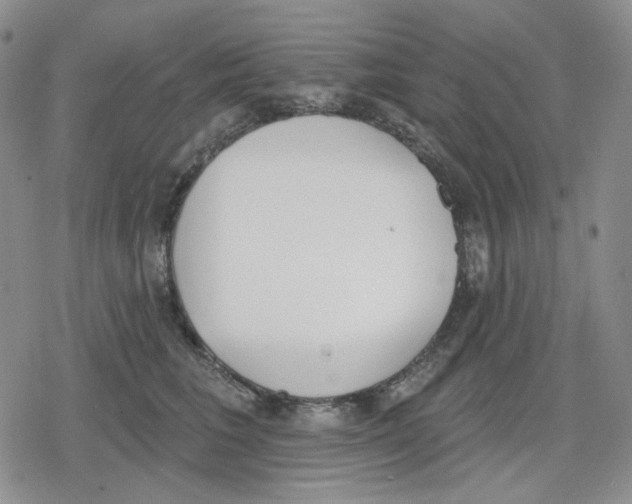 X0000079310613200612151754