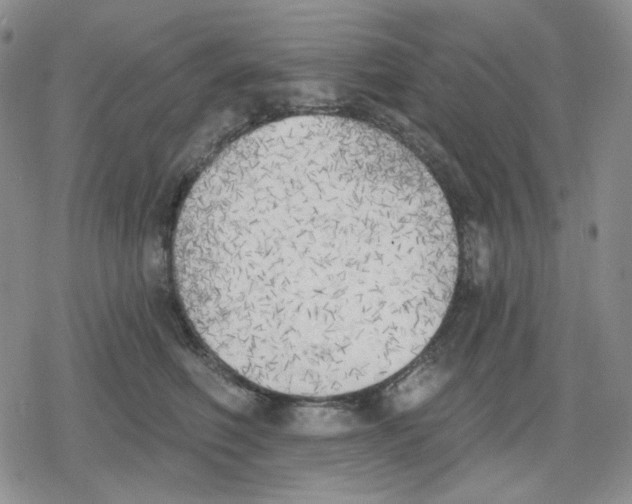 X0000079310614200612151754