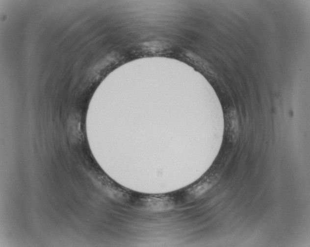 X0000079310615200612151754