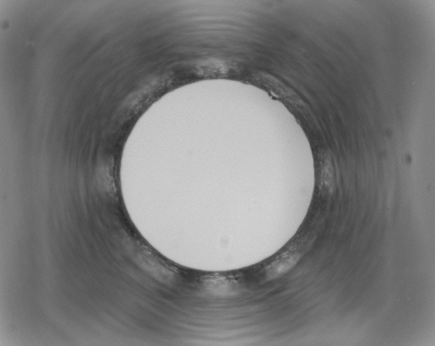 X0000079310616200612151754