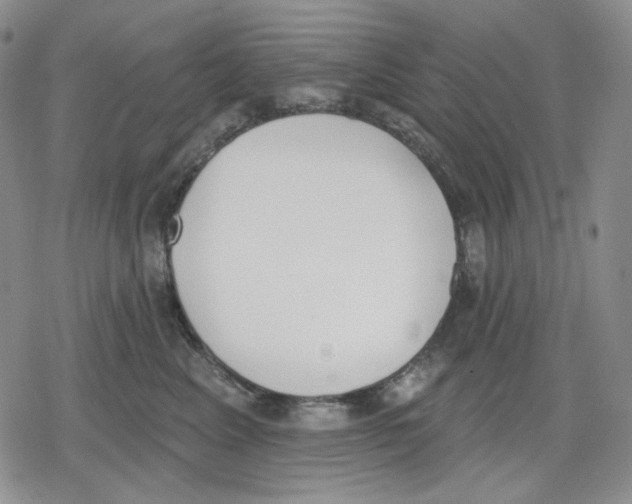 X0000079310617200612151754