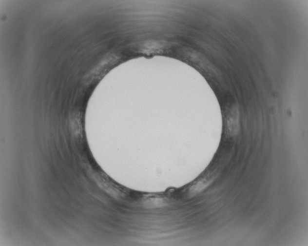 X0000079310620200612151754