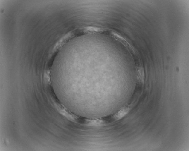 X0000079310621200612151754