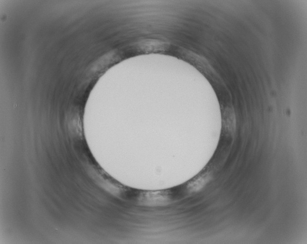 X0000079310622200612151754