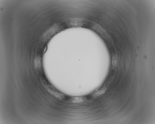 X0000079310623200612151754