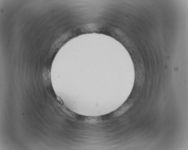 X0000079310624200612151754