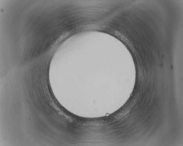 X0000079310625200612151753