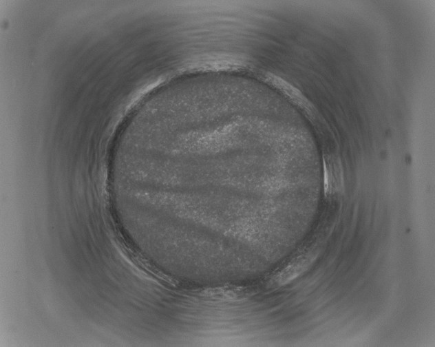 X0000079310627200612151753