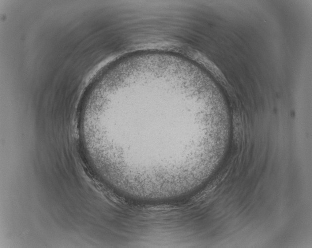 X0000079310628200612151753