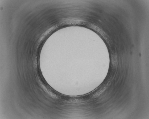 X0000079310629200612151753