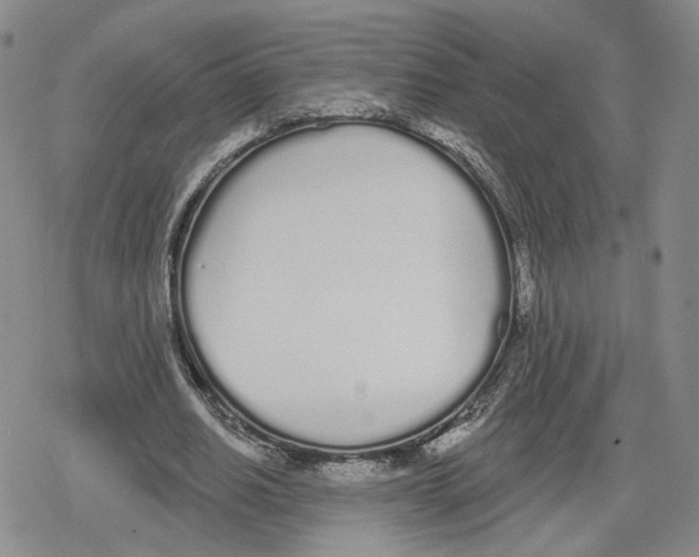 X0000079310630200612151753