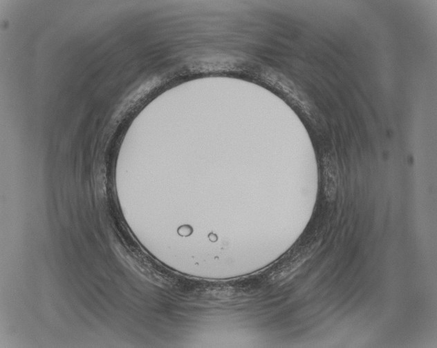 X0000079310631200612151753