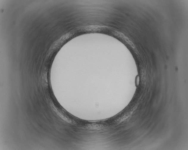 X0000079310633200612151753