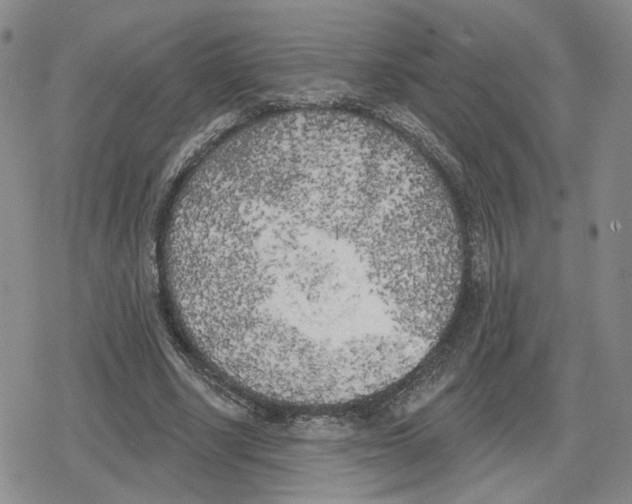 X0000079310634200612151753