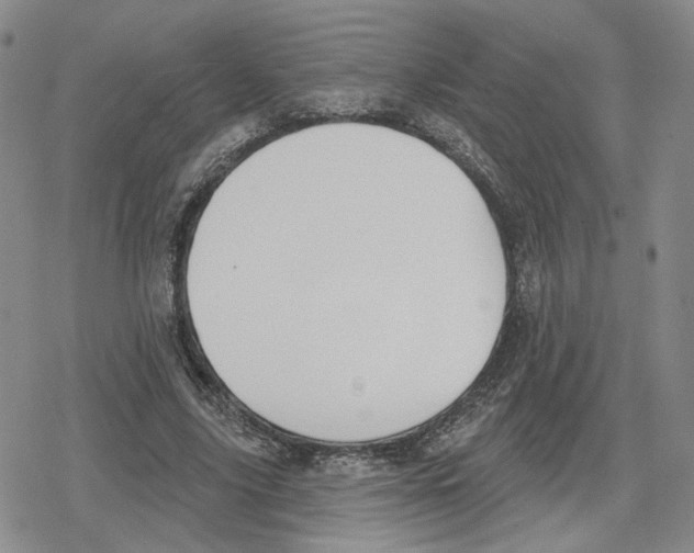 X0000079310635200612151753