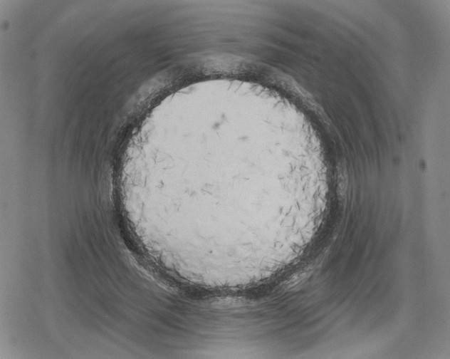 X0000079310637200612151753